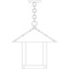 Timber Ridge 1 Light 16 inch Antique Copper Pendant Ceiling Light in Clear Seedy