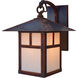 Evergreen 1 Light 12.88 inch Raw Copper Outdoor Wall Mount in Gold White Iridescent, Sycamore Filigree