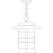 Newport 1 Light 13.75 inch Satin Black Pendant Ceiling Light in Frosted