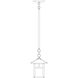 Evergreen 1 Light 7 inch Antique Brass Pendant Ceiling Light in Almond Mica, Empty