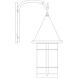 Valencia 1 Light 28.62 inch Satin Black Outdoor Wall Mount in Cream
