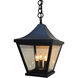 Nantes 3 Light 10 inch Bronze Pendant Ceiling Light in Clear
