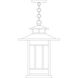 Kennebec 1 Light 12.25 inch Verdigris Patina Pendant Ceiling Light in Frosted