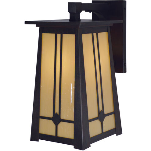 Aberdeen 1 Light 14 inch Bronze Outdoor Wall Mount in Clear Seedy