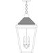 Lancaster 2 Light 12 inch Verdigris Patina with Raw Copper Accents Outdoor Pendant in Clear Seedy
