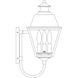 Inverness 3 Light 18 inch Rustic Brown Outdoor Wall Mount in Rain Mist