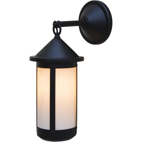 Berkeley 1 Light 17.62 inch Verdigris Patina Outdoor Wall Mount in Clear Seedy