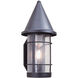 Valencia 1 Light 15.62 inch Satin Black Outdoor Wall Mount in Tan