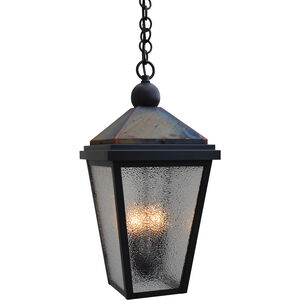 Lancaster 2 Light 9 inch Bronze with Raw Copper Accents Outdoor Pendant in Clear Seedy