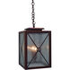 Exeter 2 Light 9 inch Bronze Pendant Ceiling Light in Gold White Iridescent