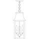 Orpington 2 Light 8.6 inch Mission Brown Pendant Ceiling Light in Clear