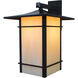 Katsura 1 Light 16.5 inch Raw Copper Outdoor Wall Mount in Clear Seedy