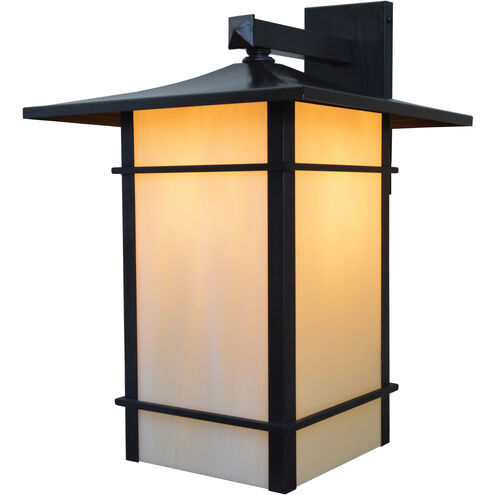Katsura 1 Light 16.5 inch Raw Copper Outdoor Wall Mount in Clear Seedy