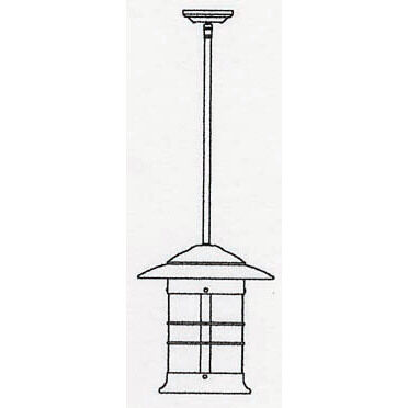 Newport 1 Light 13.75 inch Satin Black Pendant Ceiling Light in Clear Seedy