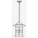 Newport 1 Light 13.75 inch Satin Black Pendant Ceiling Light in Clear Seedy