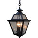 Inverness 3 Light 8 inch Rustic Brown Pendant Ceiling Light in Rain Mist