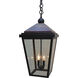 Lancaster 2 Light 12 inch Verdigris Patina with Raw Copper Accents Outdoor Pendant in Clear Seedy