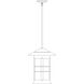 Newport 1 Light 13.75 inch Satin Black Pendant Ceiling Light in Gold White Iridescent