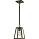 Vintage 1 Light 6 inch Antique Brass Pendant Ceiling Light in Frosted
