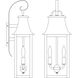 Orpington 2 Light 20 inch Mission Brown Outdoor Wall Mount in Clear