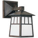 Raymond 1 Light 14.75 inch Verdigris Patina Outdoor Wall Mount in Clear Seedy