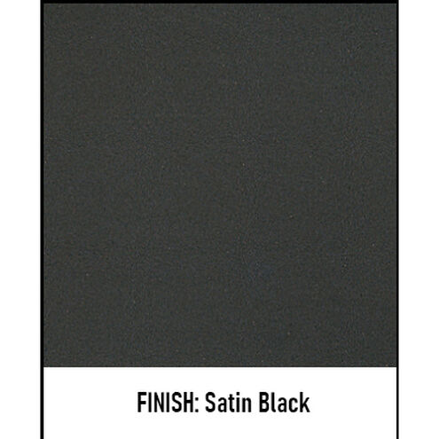 Exeter 2 Light 9 inch Satin Black Pendant Ceiling Light in Clear