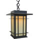 Oak Park 1 Light 10.5 inch Satin Black Pendant Ceiling Light in Frosted